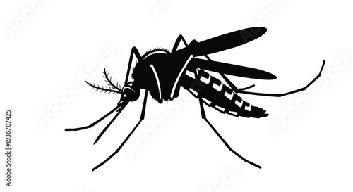 Black mosquito silhouette vector illustration