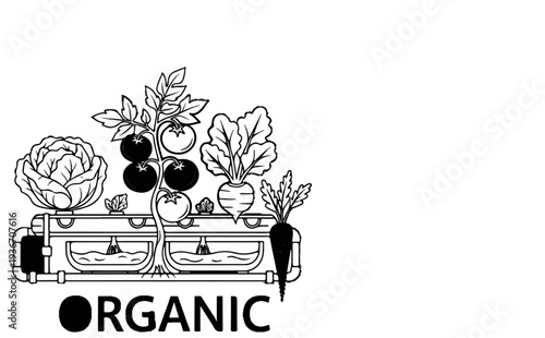 A stylized illustration of an indoor hydroponic garden with fresh vegetables