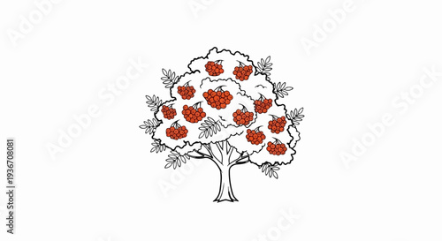 Stylized illustration of a rowan tree laden with clusters of red berries