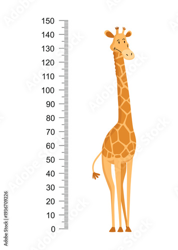 Funny giraffe. Cheerful funny giraffe with long neck. Giraffe meter wall or height chart or wall sticker. Illustration with scale from 0 to 150 centimeter to measure growth