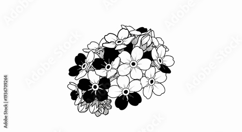 A black and white sketch of a cluster of small, delicate flowers