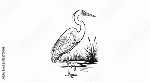 A sketch of a heron standing in shallow water with reeds