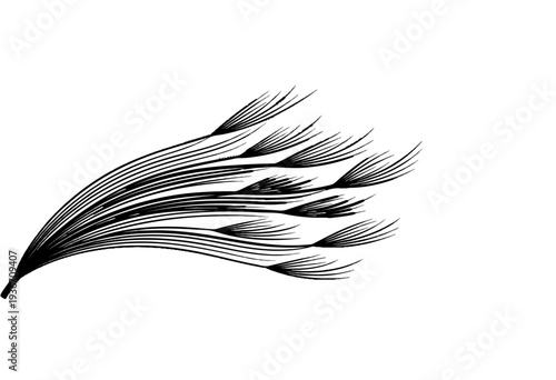 Abstract black ink strokes resembling wind-blown grass or feathers