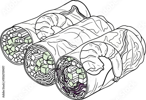 Artistic line drawing of three fresh spring rolls filled with noodles, vegetables, and shrimp