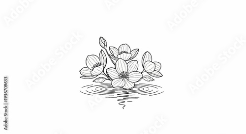 Delicate line drawing of blooming flowers reflected on rippling water surface
