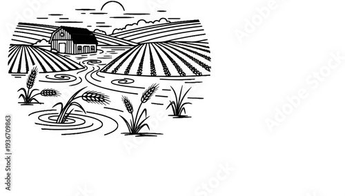 Rural barn and fields with crops and a flowing stream under a sunny sky