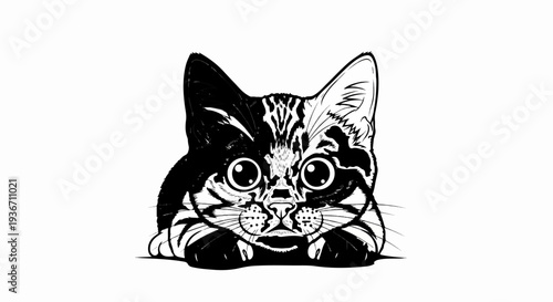 A playful kitten peeking over an unseen surface with wide, curious eyes