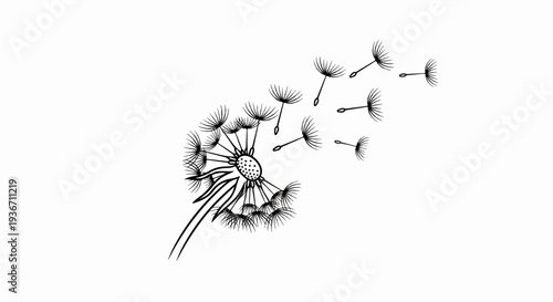 Black ink sketch of a dandelion with seeds blowing in the wind