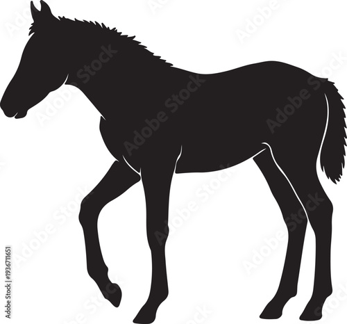 Foal Silhouette Icon – Young Horse Vector