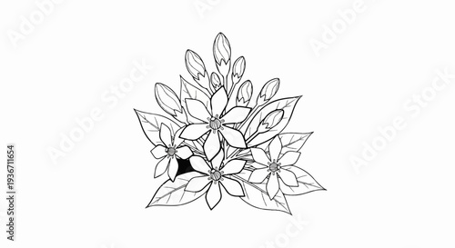 Detailed line drawing of a cluster of blooming flowers and buds