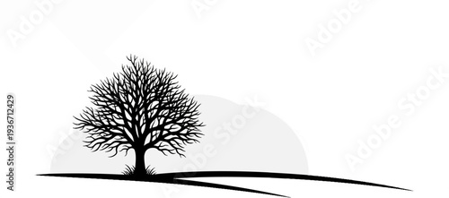 Stylized silhouette of a bare tree with intricate branches against a soft, diffused background