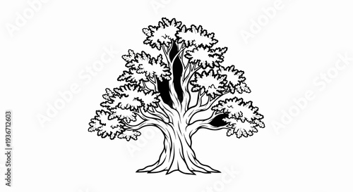 Stylized illustration of a mature deciduous tree with thick trunk and sprawling branches