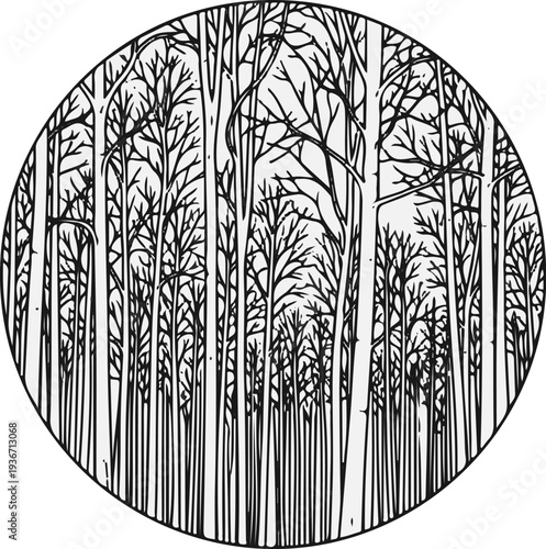 Detailed illustration of a dense forest with many thin trees in a circle