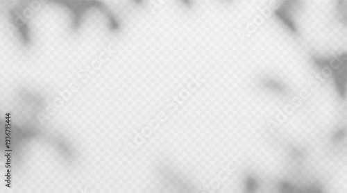 Abstract tree leaves shadow overlay isolated on transparent background. Soft foliage shade effect on wall