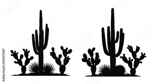 Desert cacti arrangement with varied forms a striking silhouette