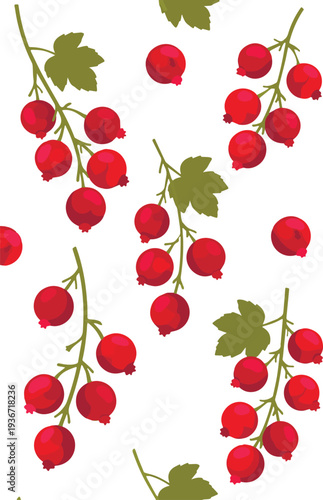 redcurrant-3.eps