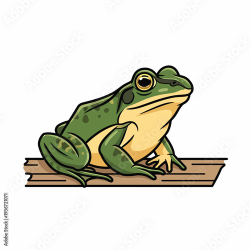 A green frog with yellow belly sits on brown log
