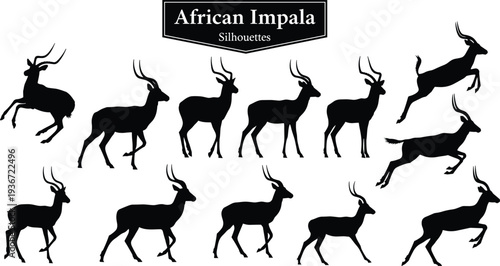Black African impala silhouette collection set with jumping and standing antelope animals isolated on white background for safari nature design elements
