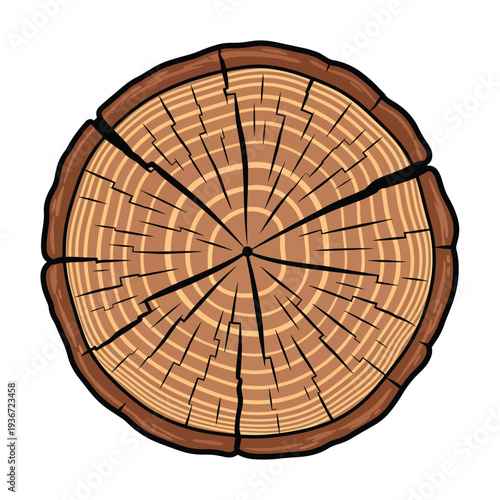 A tree stump with visible growth rings and cracks