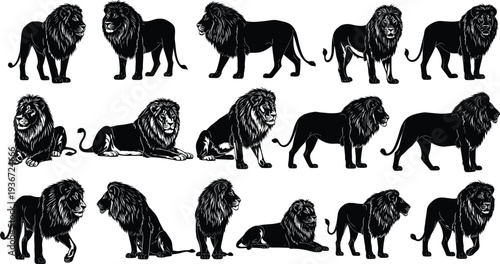 Black lion silhouette collection with male lions in standing and sitting poses cad drawing flat vector illustration isolated on white