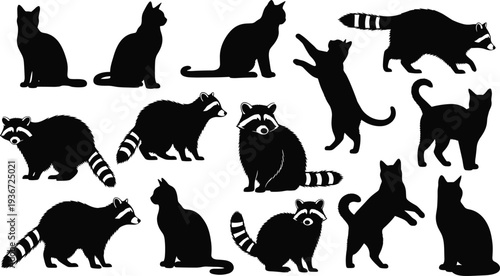 Black silhouettes of cats and raccoons, cad drawing flat vector illustration of domestic pets and wild forest animals, animal set