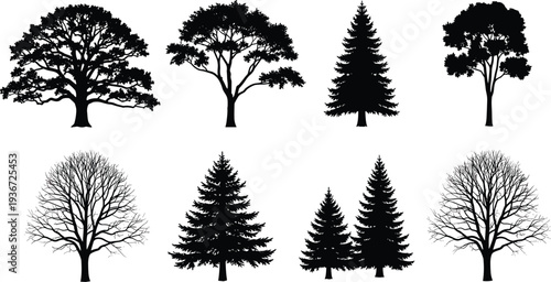 Black silhouettes of deciduous and evergreen trees, cad drawing flat vector illustration of oak, pine, spruce, and winter forest trees