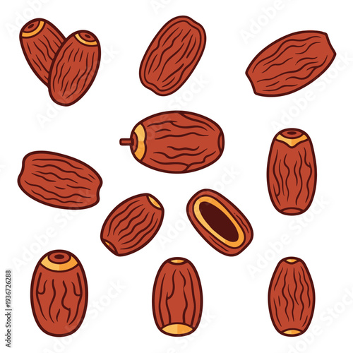 Collection of Dates Fruit Illustration.