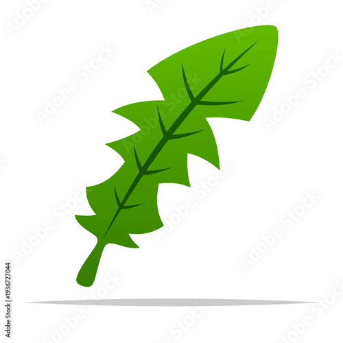 Green dandelion leaf vector isolated illustration
