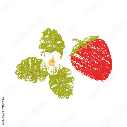 Strawberry with leaves and flower, crayon style vector illustration.