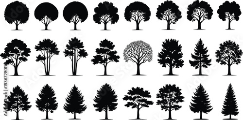 Black tree silhouette collection set with deciduous and coniferous pine trees isolated on white background for nature and landscape design elements