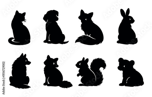 Completely black background with no visible details or subjects