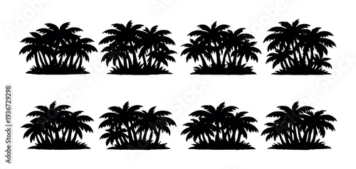Palm tree clusters backlit against dark gradient background