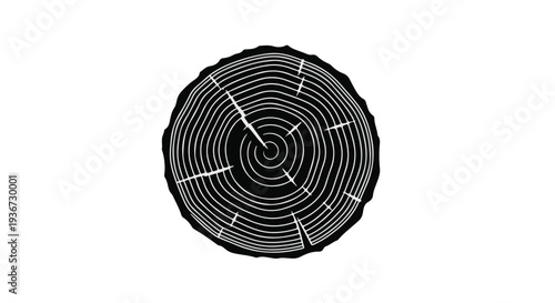 Cross-section of a tree trunk showing growth rings, a natural symbol of time and age