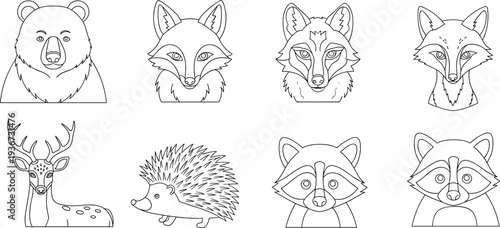 Collection of stylized line art drawings of forest animals, including a bear, fox, deer, and raccoon