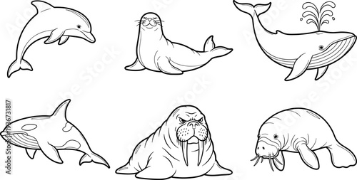 Collection of six marine mammals in a simple line art style, perfect for educational content
