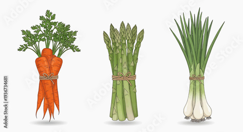 Illustration of fresh vegetables including carrot, asparagus, and spring onion, tied together showcasing healthy eating, culinary, and nutrition from a straightforward viewpoint.