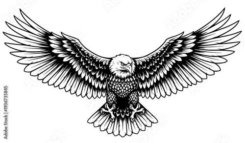 Majestic flying eagle black and white vector illustration detailed wings spread bird emblem design