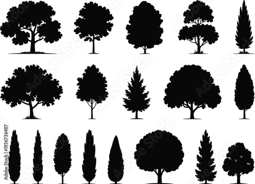 Black Tree Silhouettes Set with Diverse Species Including Oak Pine Cypress and Maple Isolated on White Background for Landscape Design