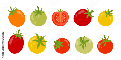 Tomato set with whole red, green, yellow and orange cherry tomatoes. Fresh organic vegetables on white background. Flat vector illustration.