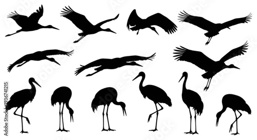 Stork and Crane Bird Silhouettes – Flying and Standing Wading Birds Vector Set