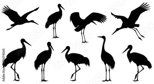Stork and Crane Bird Silhouettes – Flying and Standing Wading Birds Vector Set