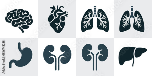 Detailed anatomical illustrations of human organs including brain, heart, lungs, and digestive system displayed in a grid layout