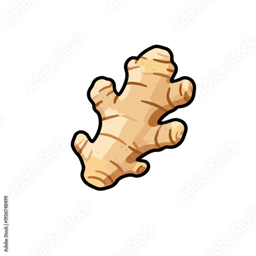 [Vector EPS]Fresh and raw ginger root with distinct texture and shape