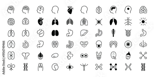 A clean professional collection of 48 scientific and medical icons displayed in a grid layout