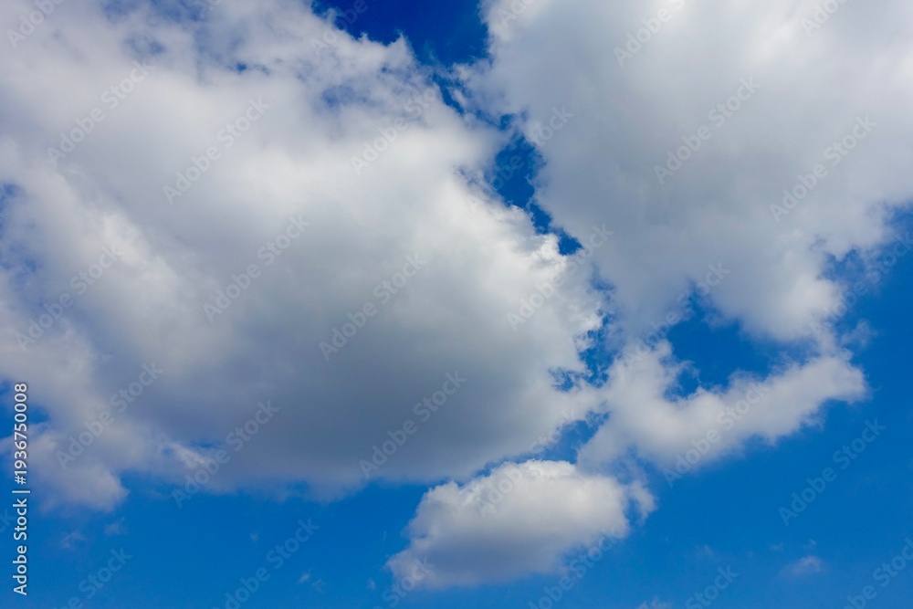 Fototapeta premium 雲と青空