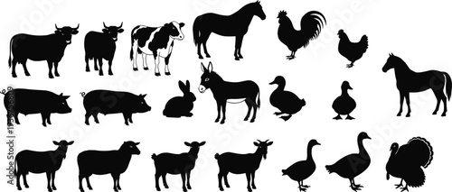 Farm animal silhouettes set, livestock and poultry collection, cow horse pig sheep goat chicken duck turkey vector icons