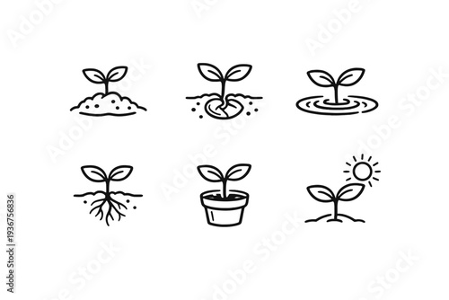 Set of six iconic seedling illustrations depicting growth stages