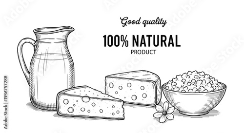 Hand-drawn vintage sketch of natural dairy products including a milk jug, cheese, and cottage cheese with promotional quality text.