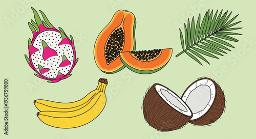A collection of colorful hand-drawn tropical fruits including dragon fruit, papaya, bananas, coconut, and a single palm leaf.