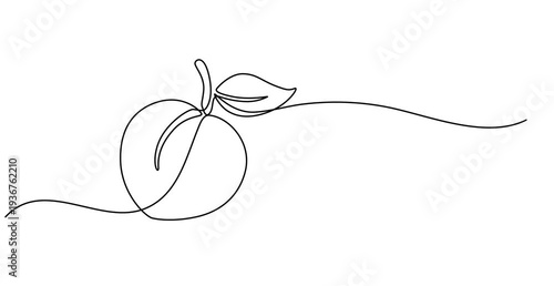 Animated self drawing of single continuous line draw whole healthy organic peach for orchard logo identity. Fresh fruitage concept for fruit garden icon. Full length one line animation video